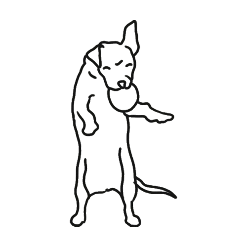 Tattoo of a dog catching a ball. Design by Gael Cleinow