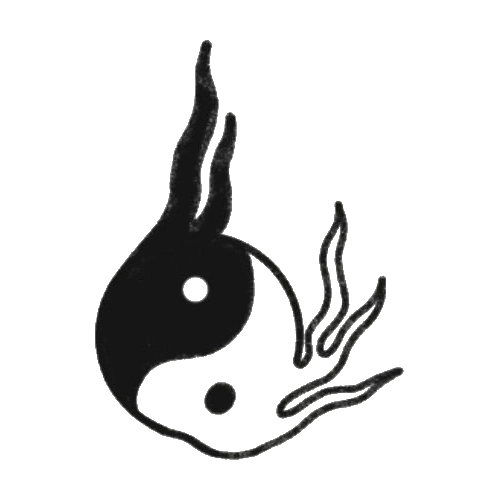 Yin Yang on fire tattoo designed by Gael Cleinow