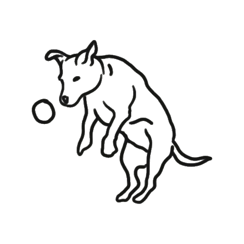 Dog catching a ball tattoo designed by Gael Cleinow.