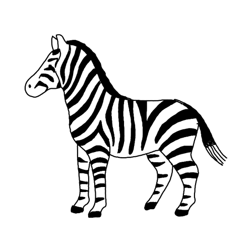 Minimalist Zebra tattoo.