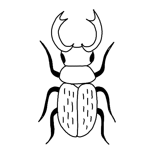 Minimalist Scarab tattoo.