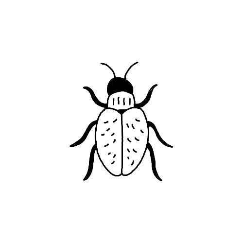 Minimalist Beetle insect tattoo.