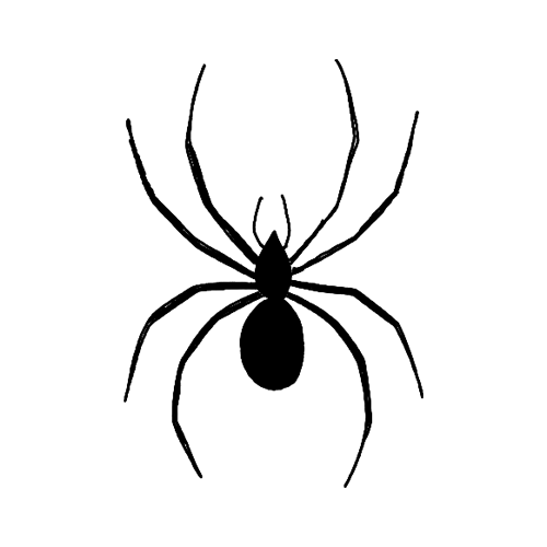 Minimalist Black Spider insect tattoo.