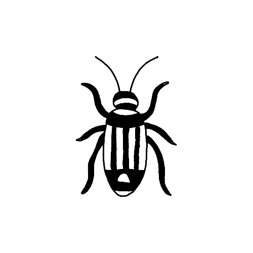 Minimalist Striped Beetle insect tattoo.