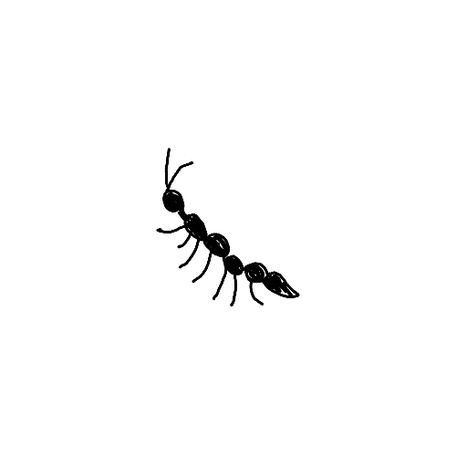 Minimalist simple centipede insect tattoo.