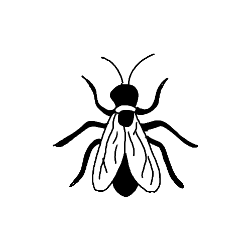 Minimalist house fly insect tattoo.