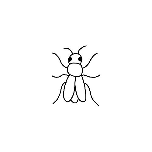 Minimalist simple fly insect tattoo.