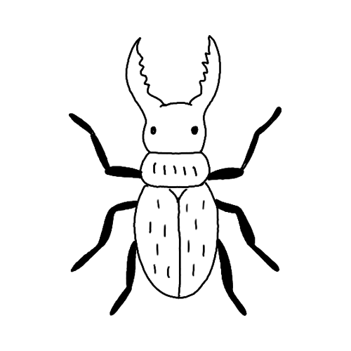 Minimalist simple scarab insect tattoo.