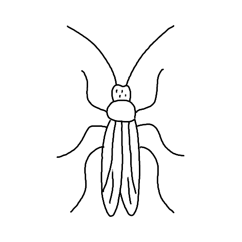 Minimalist simple cockroach insect tattoo.