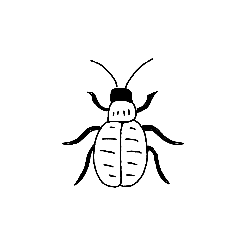 Minimalist simple beetle insect tattoo.