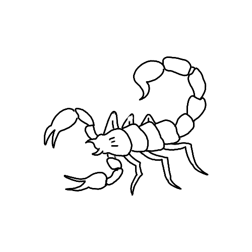 Minimalist scorpion insect tattoo.