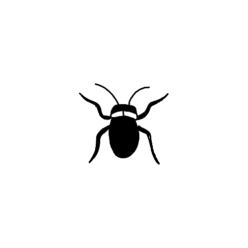 Minimalist beetle insect tattoo.