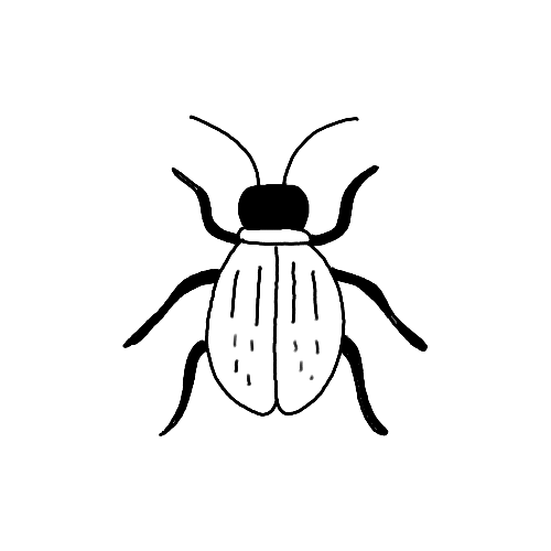 Minimalist beetle insect tattoo.