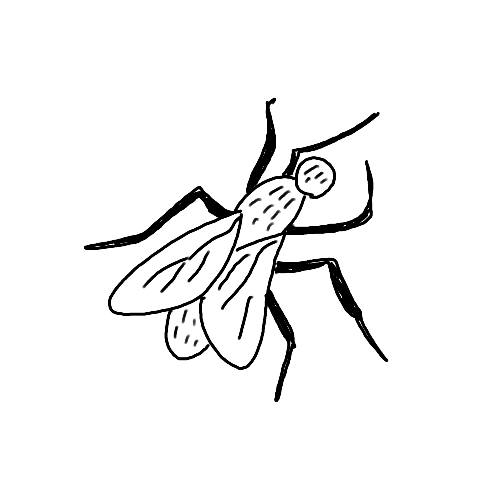 Minimalist house fly insect tattoo.