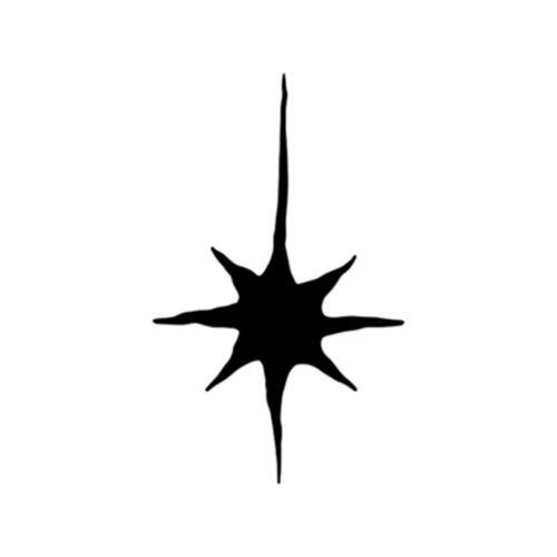 sparkle star tattoo designed by Carli Cherry.