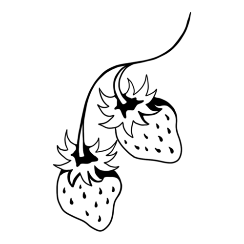 Two strawberries in a branch designed by Carli Cherry.