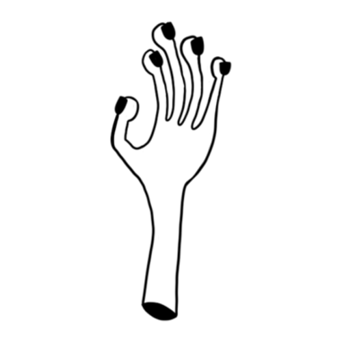 Funk cut hand designed by Carli Cherry.