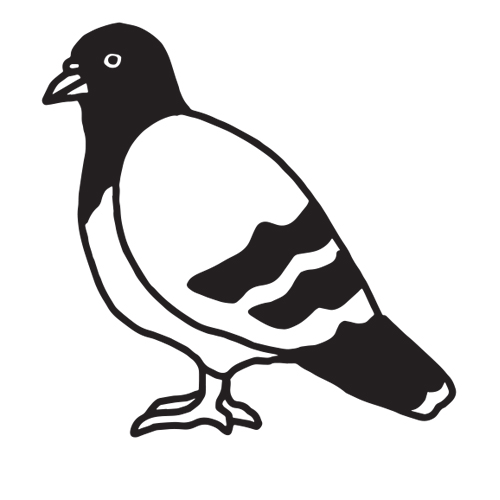 Pigeon tattoo design by Micah NYC.