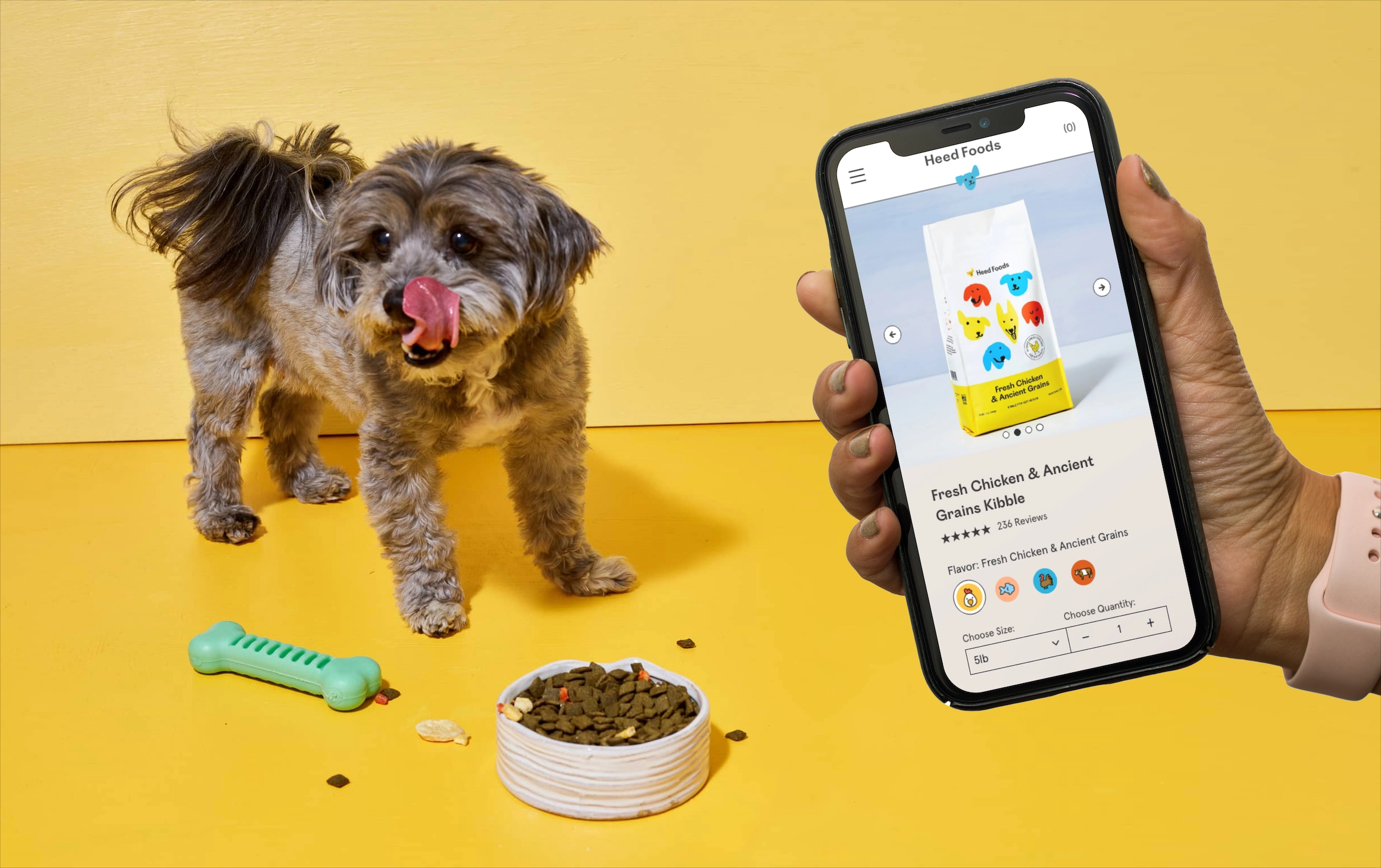 A dog licking its lips with a bowl of dog food in front of it, and a hand holding an iphone with the screen showing the Heed Foods product details page