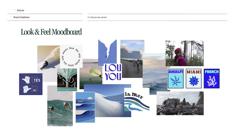 Kalyani's look & feel moodboard