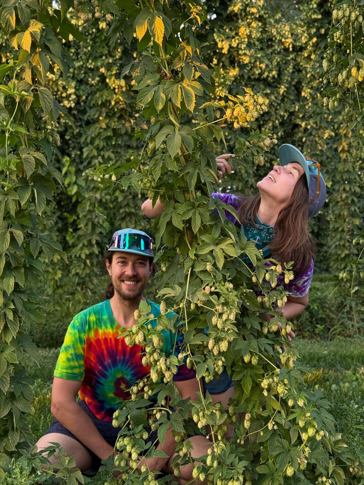 Get a load of our recent trip to Yakima's hop harvest!
