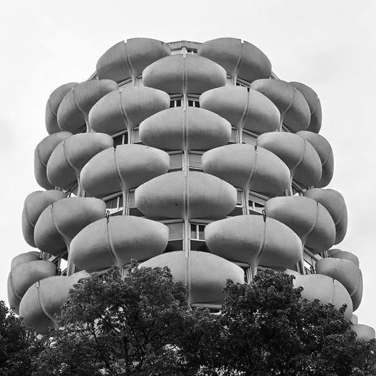 Choux de Créteil