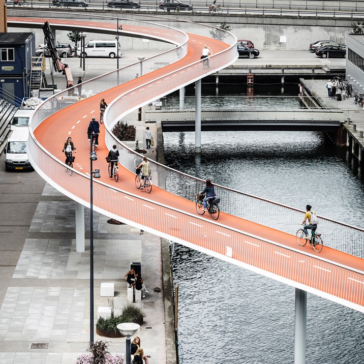 Bicycle Snake