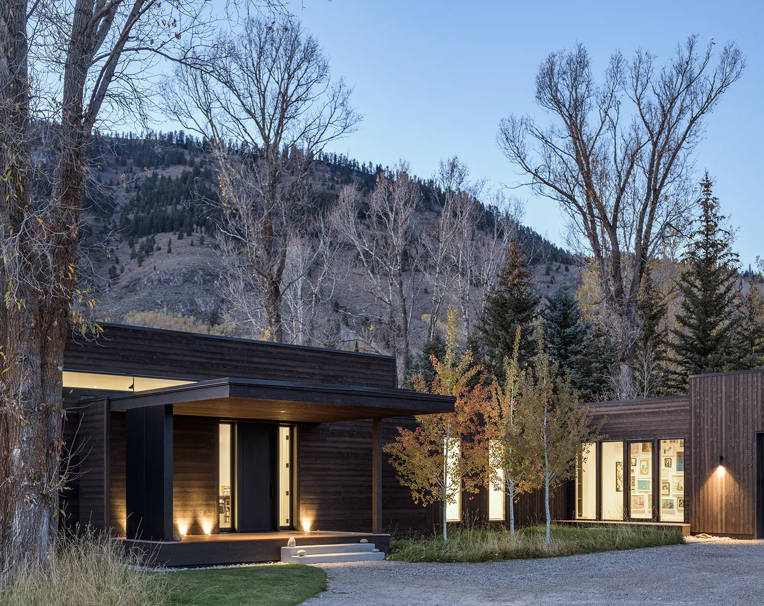 Modern two-story house with wooden and black panel exterior, large windows, and outdoor patio with plants and lighting at dusk.