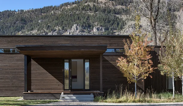 Modern dark wooden house entrance with glass door, small porch, and autumn trees against a mountain backdrop.