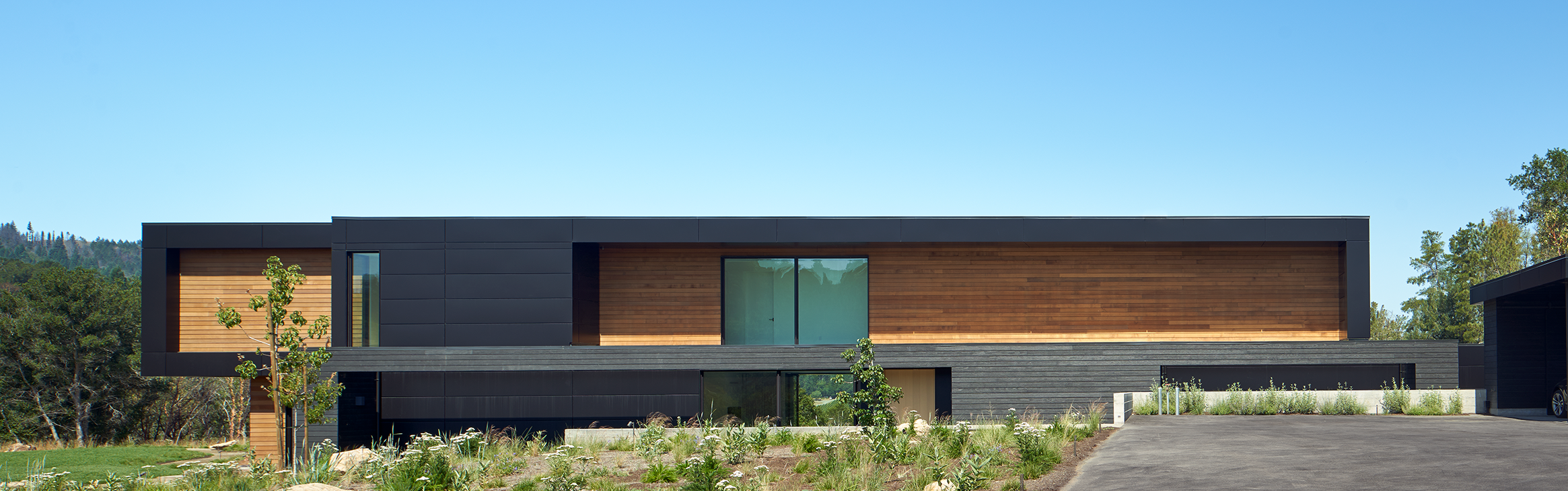 Modern rectangular house with black and wood panel exterior, large glass doors, surrounded by greenery under a clear blue sky.
