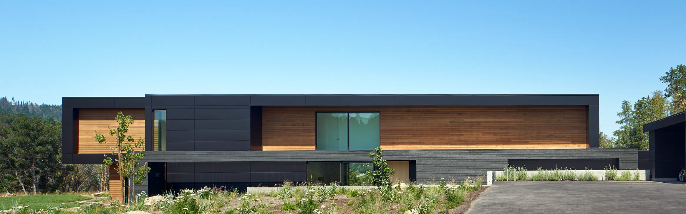 Modern rectangular house with black and wood panel exterior, large glass doors, surrounded by greenery under a clear blue sky.