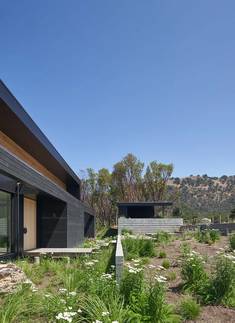 Modern black wood house with large windows surrounded by native landscaping and wildflowers, with hills and trees in the background under a clear blue sky.
