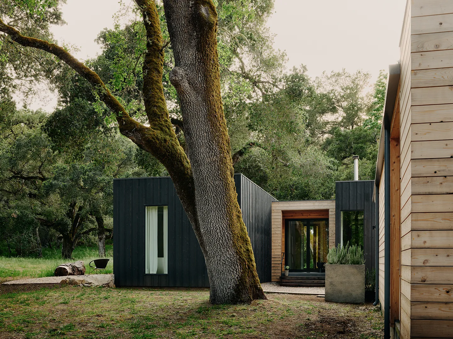 Modern house with black and natural wood siding surrounded by large trees and greenery.