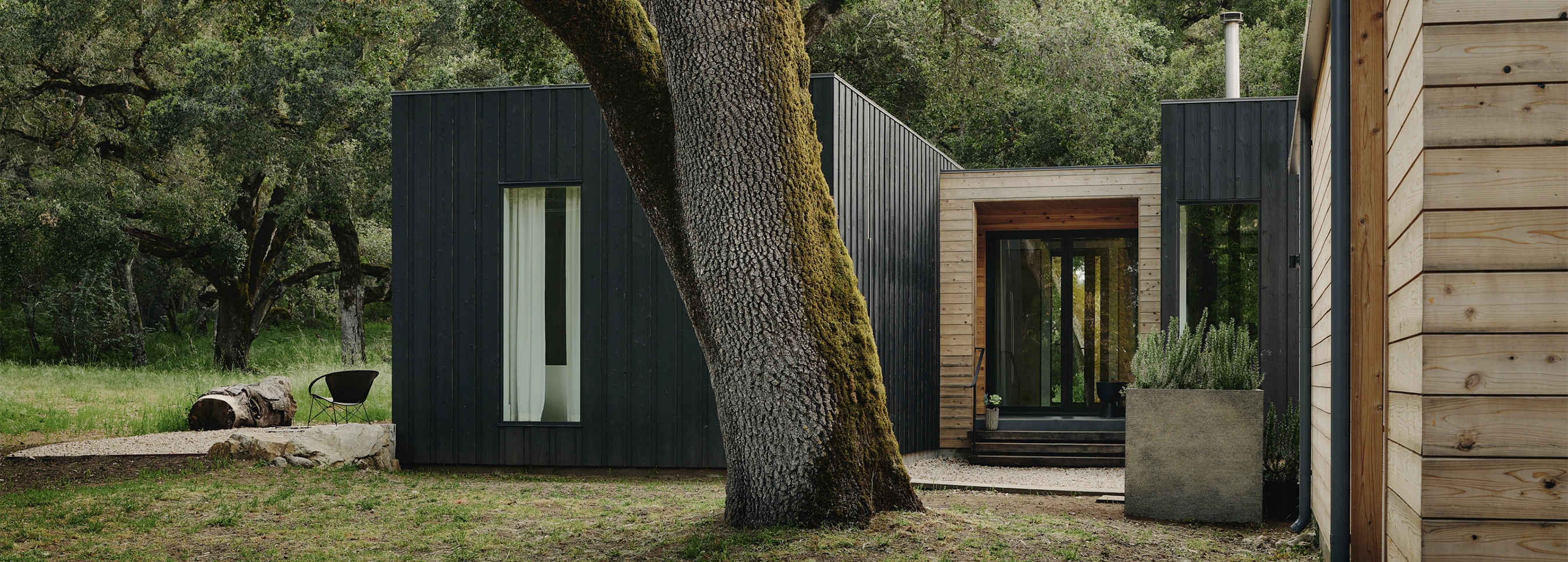 Modern black and wood-paneled house surrounded by trees with a large tree trunk in front.