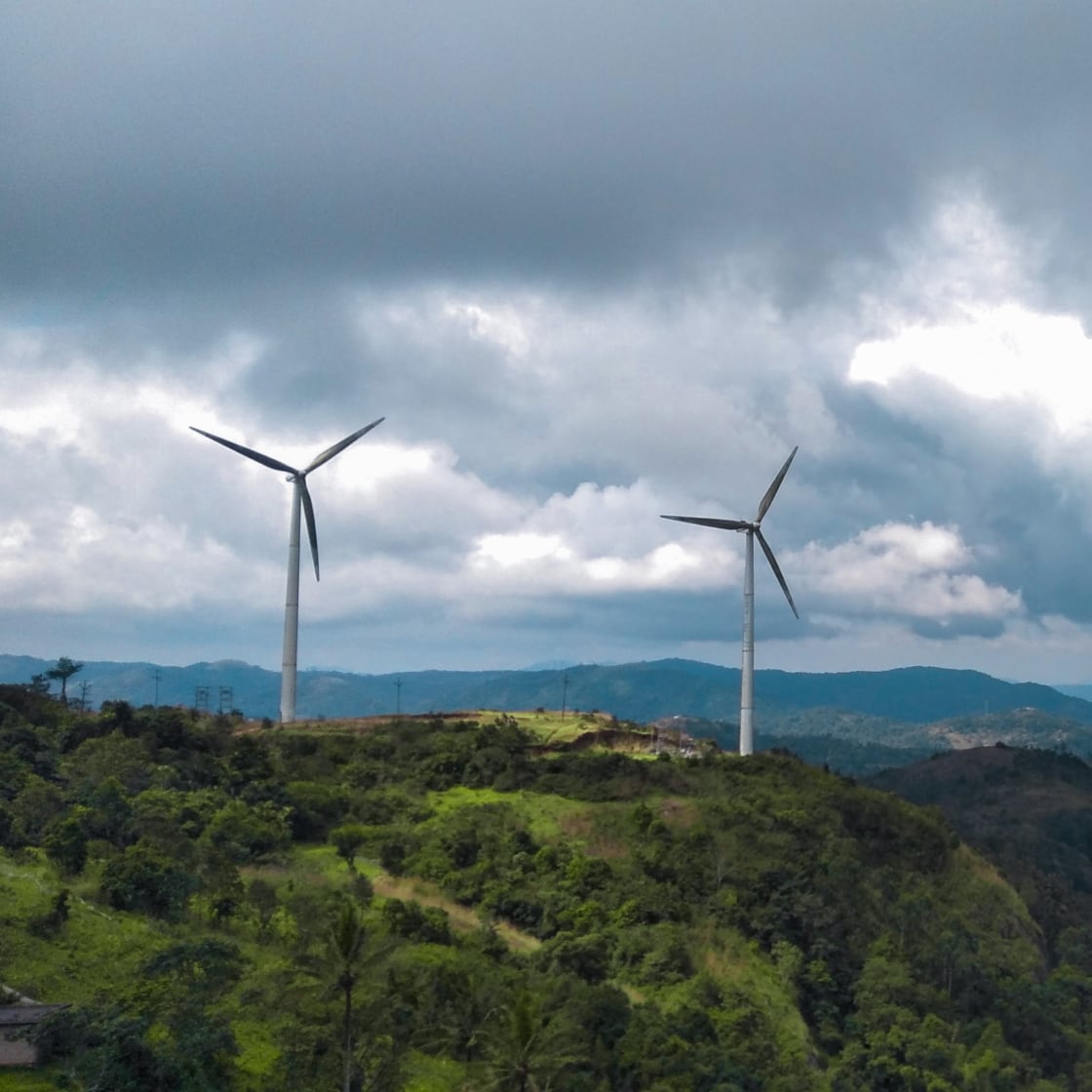 Mission Zero carbon offset program powered by BlueHalo Climate Action Technology with Tasman Environmental Markets