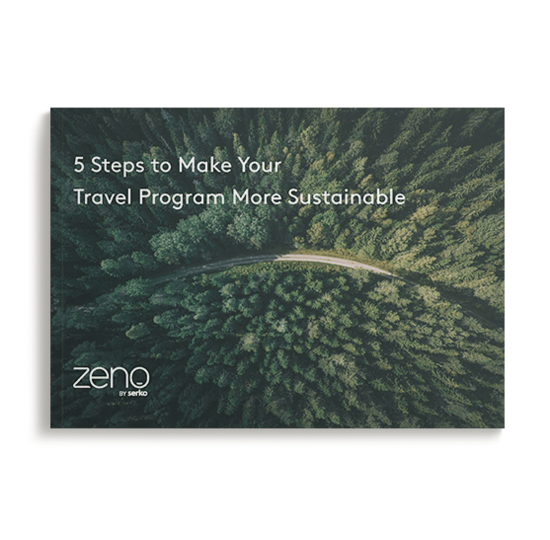 5 Steps to make your travel program more sustainable