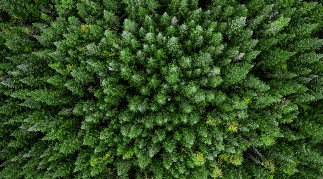 Do more to reduce your travel program’s environmental impact with new tools in Mission Zero
