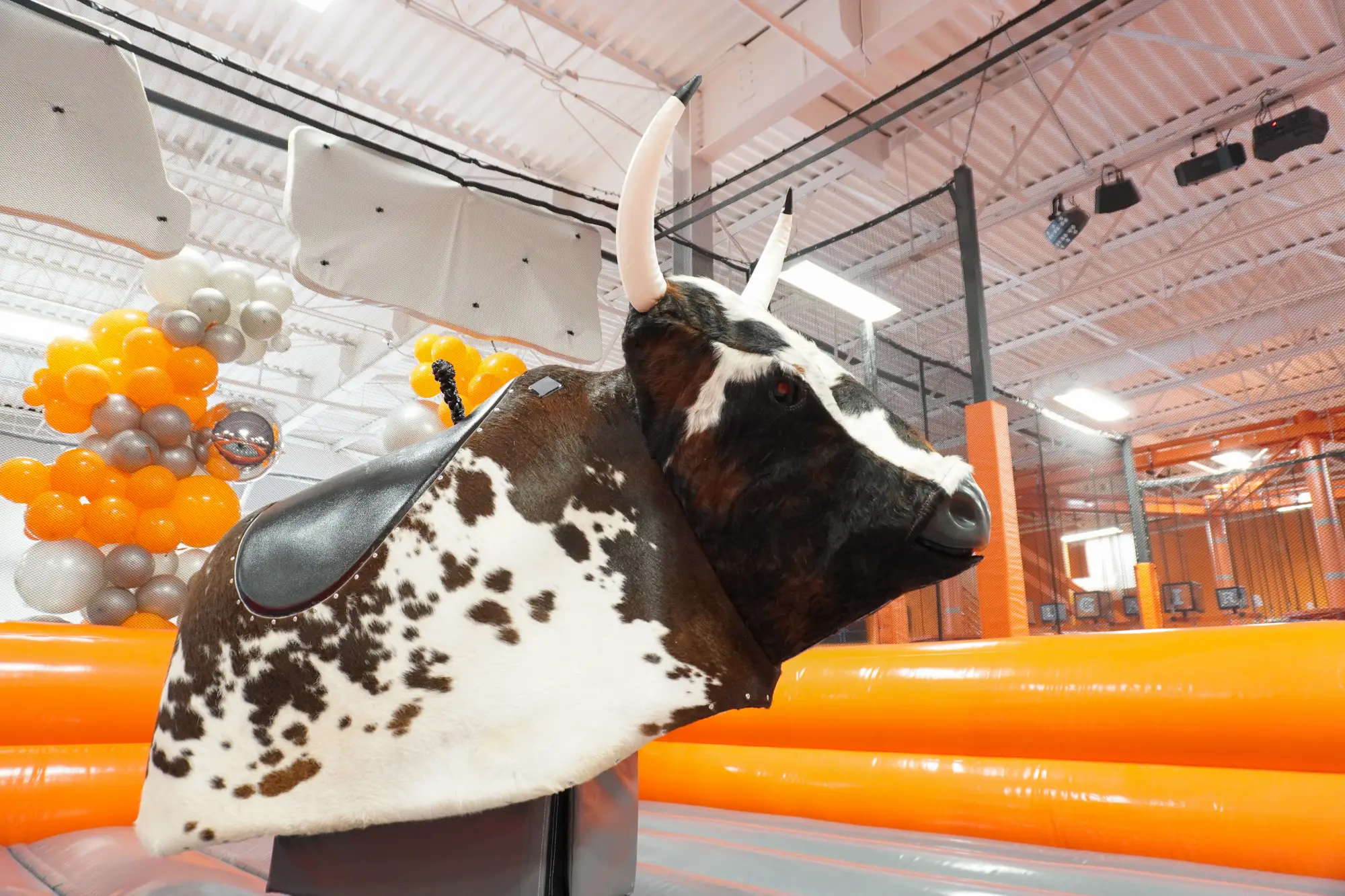 Mechanical Bull at Big Air Warner Robins