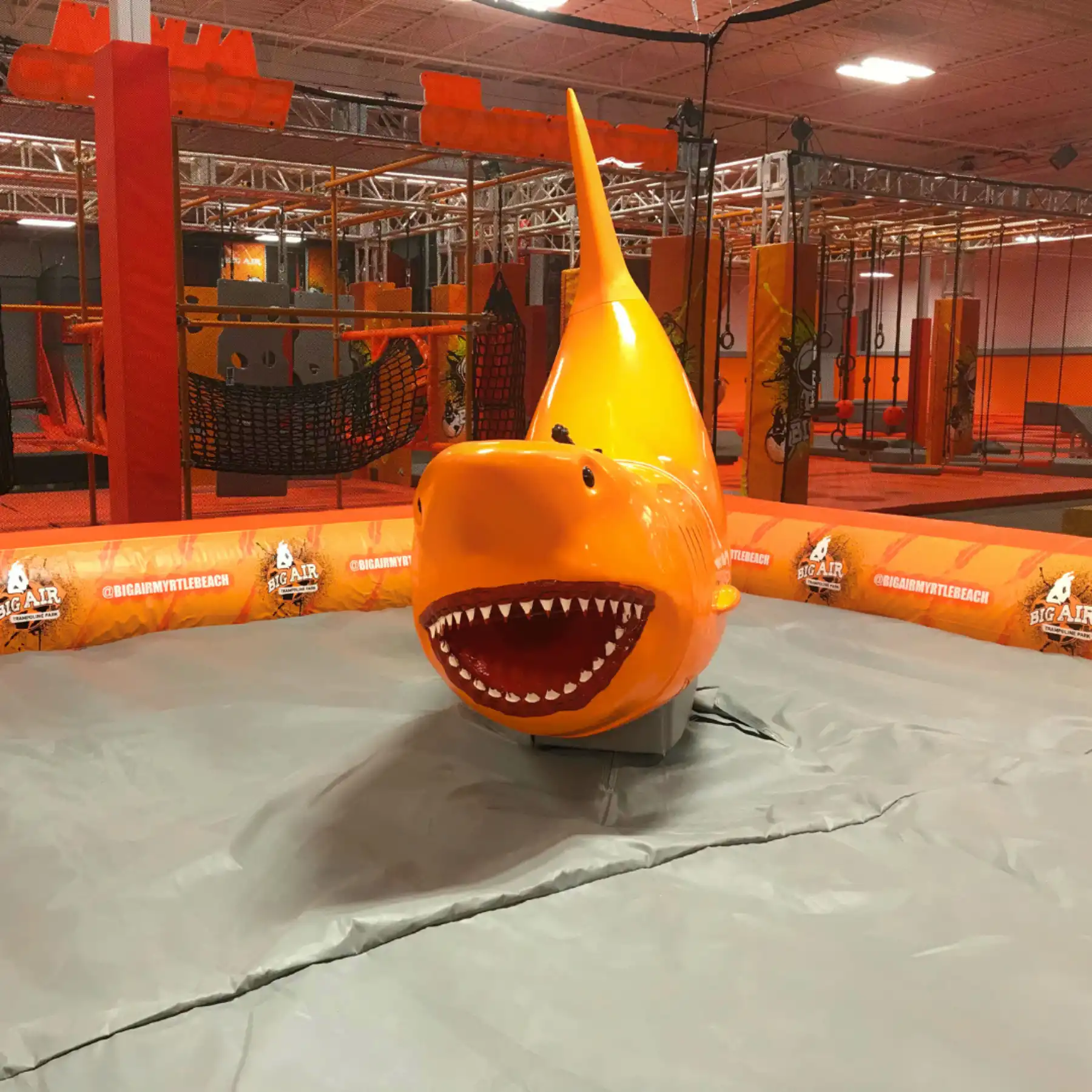 Shark at Big Air Myrtle Beach
