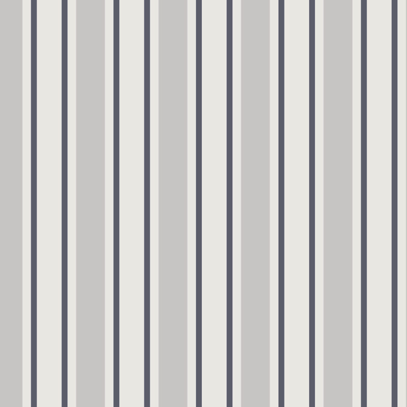 Carter Stripe
