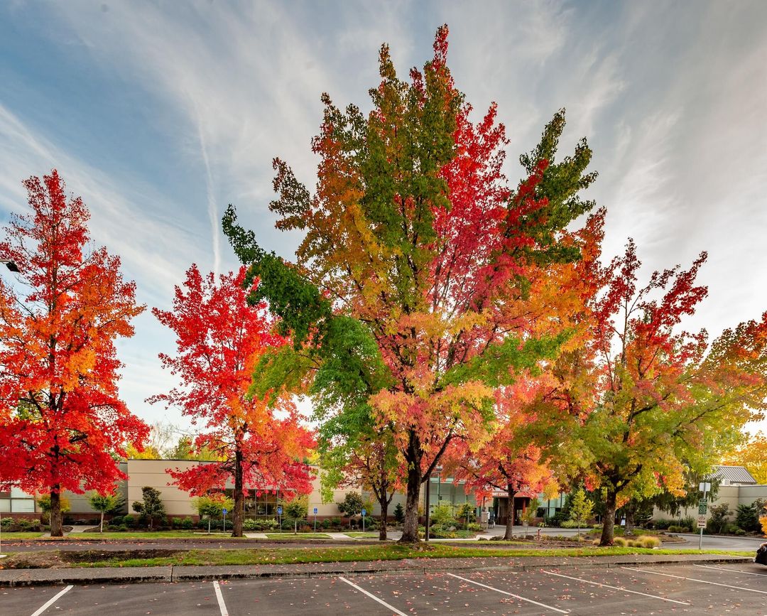 join-the-tigard-police-department