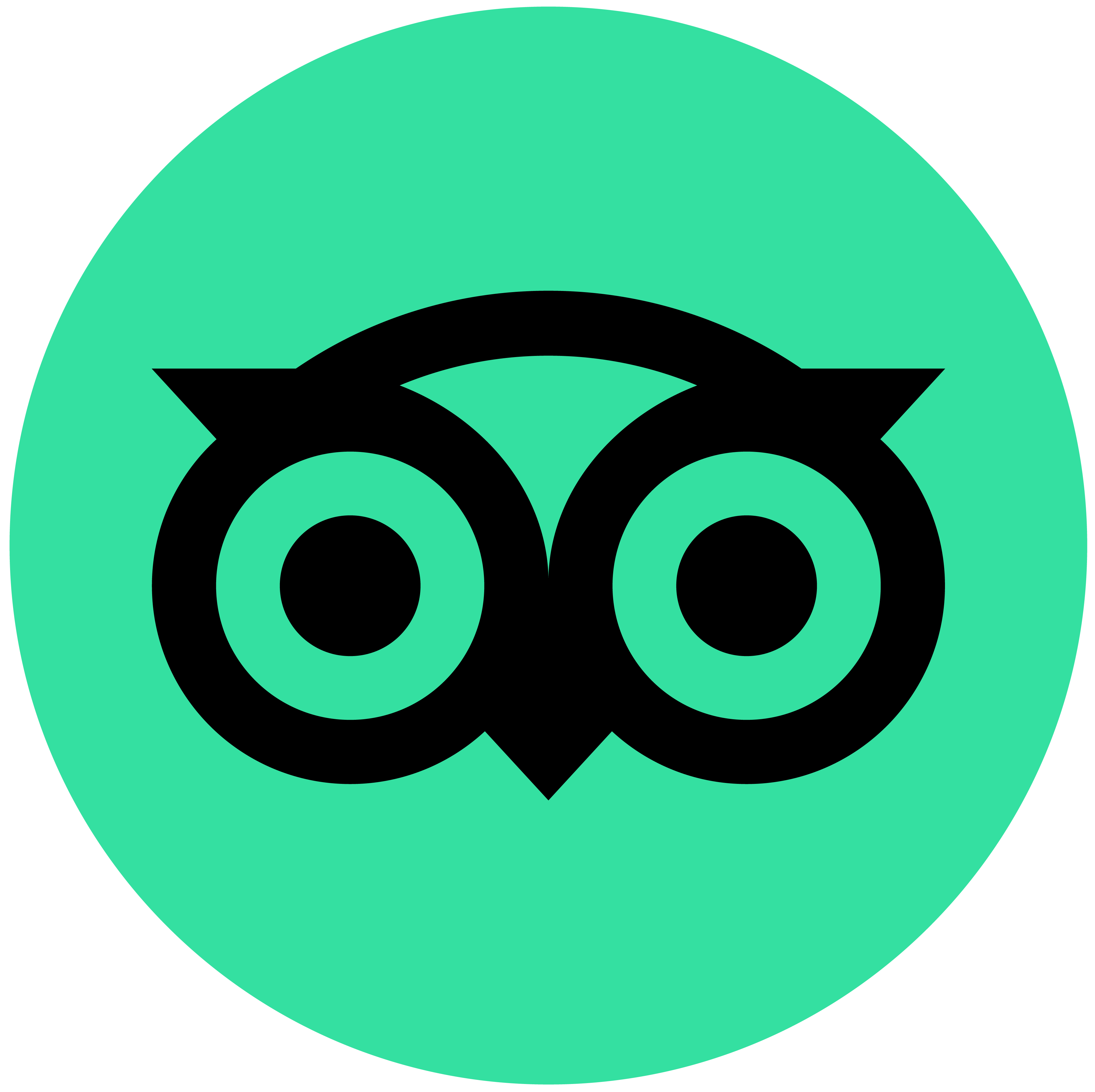 Trip Adviser Logo