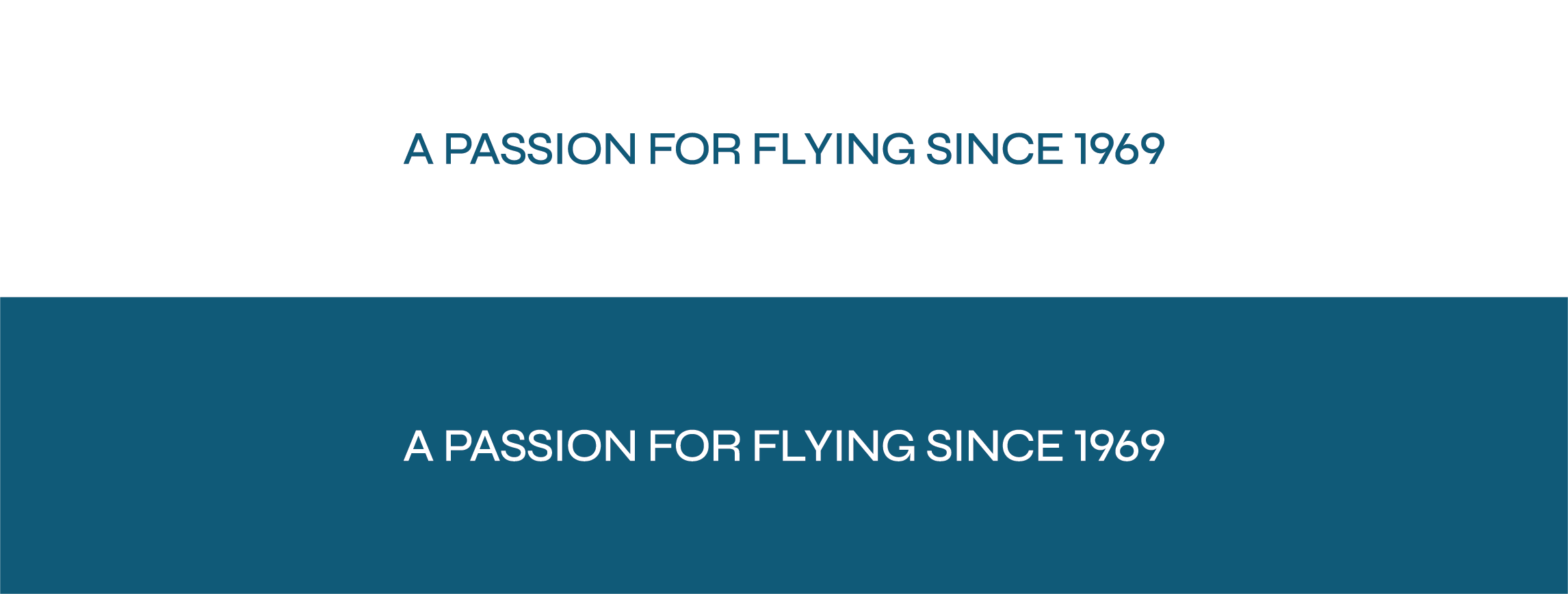 A passion for flying since 1969 text on blue and white design