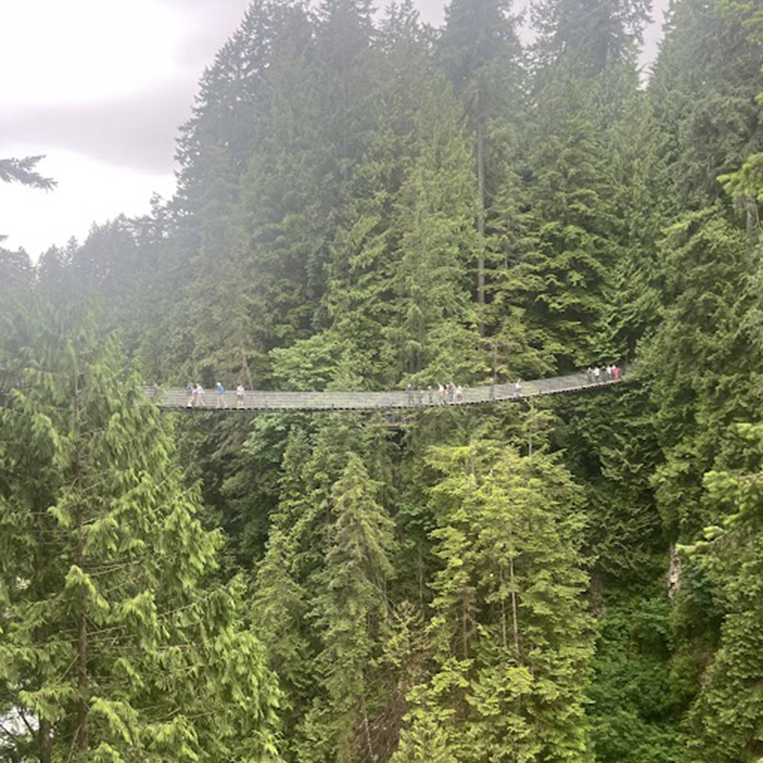 New Year, Same Values: Why Staying True to Purpose Matters More Than Trends 