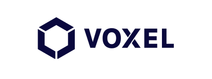 voxel Logo