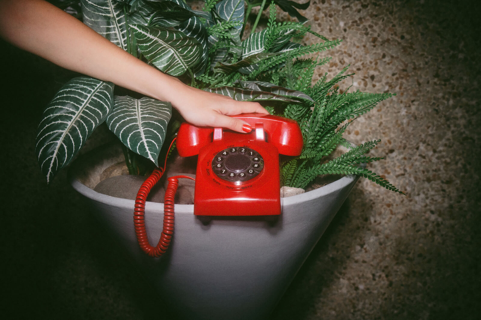 A hand reaching for a vintage red rotary phone nestled among potted plants, a nod to the urgency of a call that needs answeri