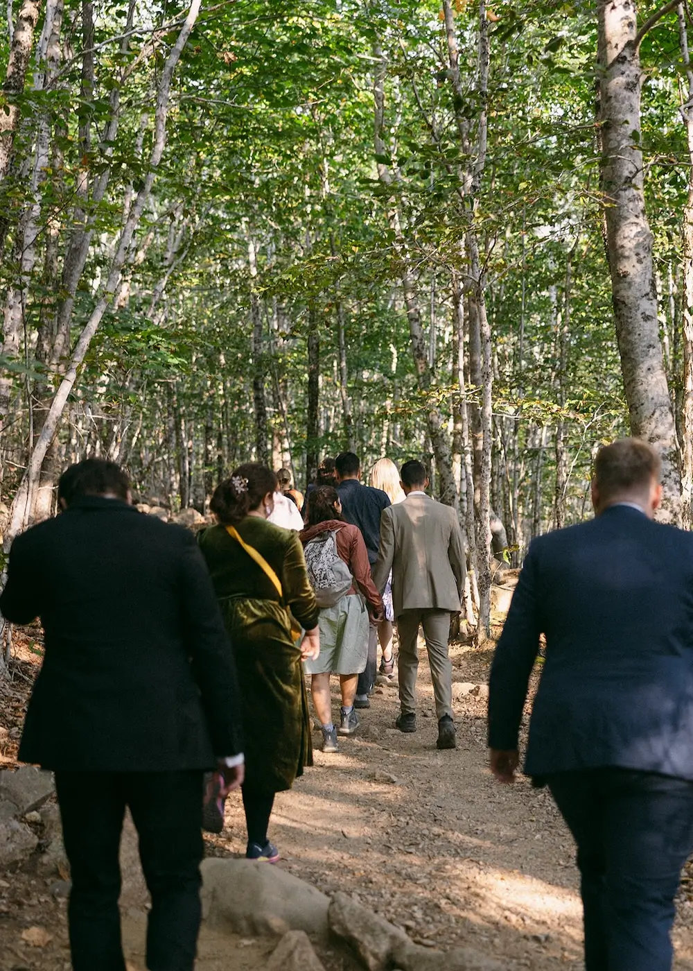 Wedding guests walking along a forest trail surrounded by trees.