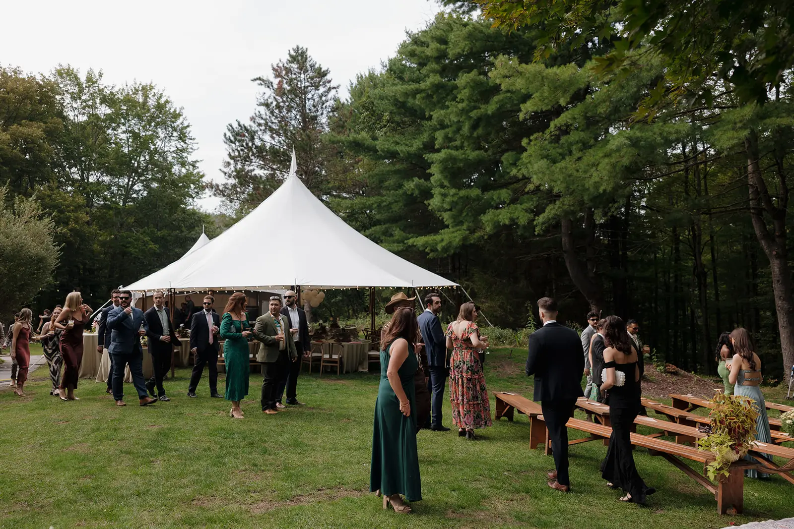 Outdoor micro wedding cocktail hour with guests mingling around a white peaked tent in a forest clearing, picnic benches and tall pines surrounding