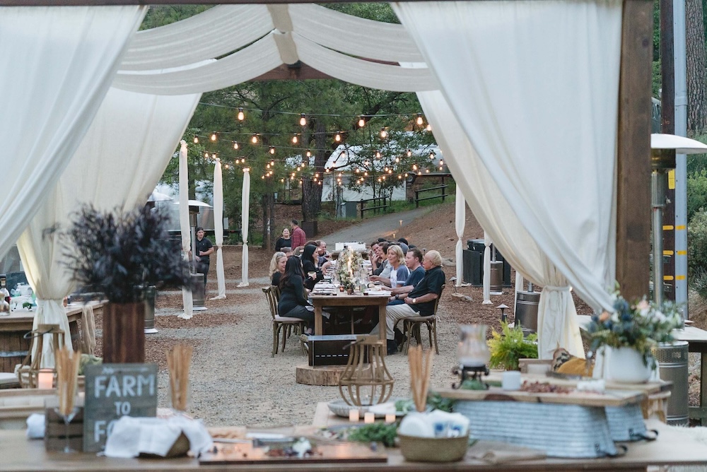 Outdoor reception viewed through a draped pavilion, sheer linens parted at the front, café lights, and a long farm table set for dinner under pines