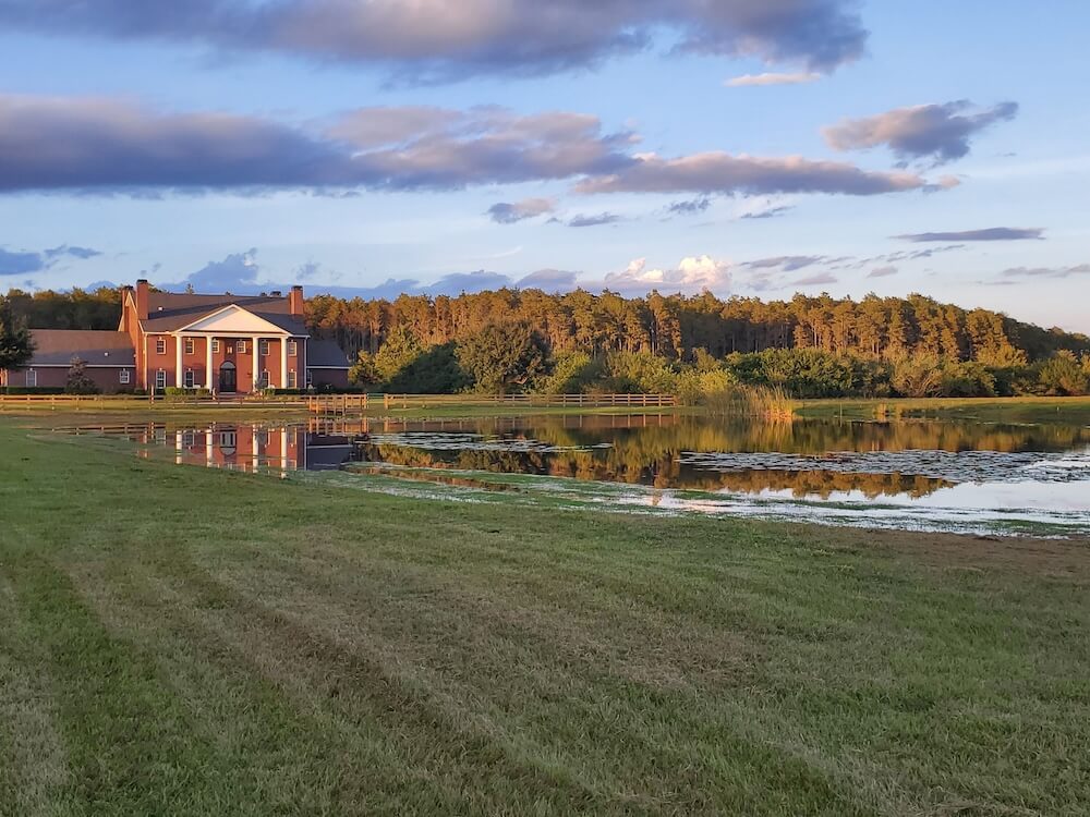 Red-brick Colonial ranch home with a white-columned portico across a grassy meadow and reflecting pond, pine forest behind in golden light